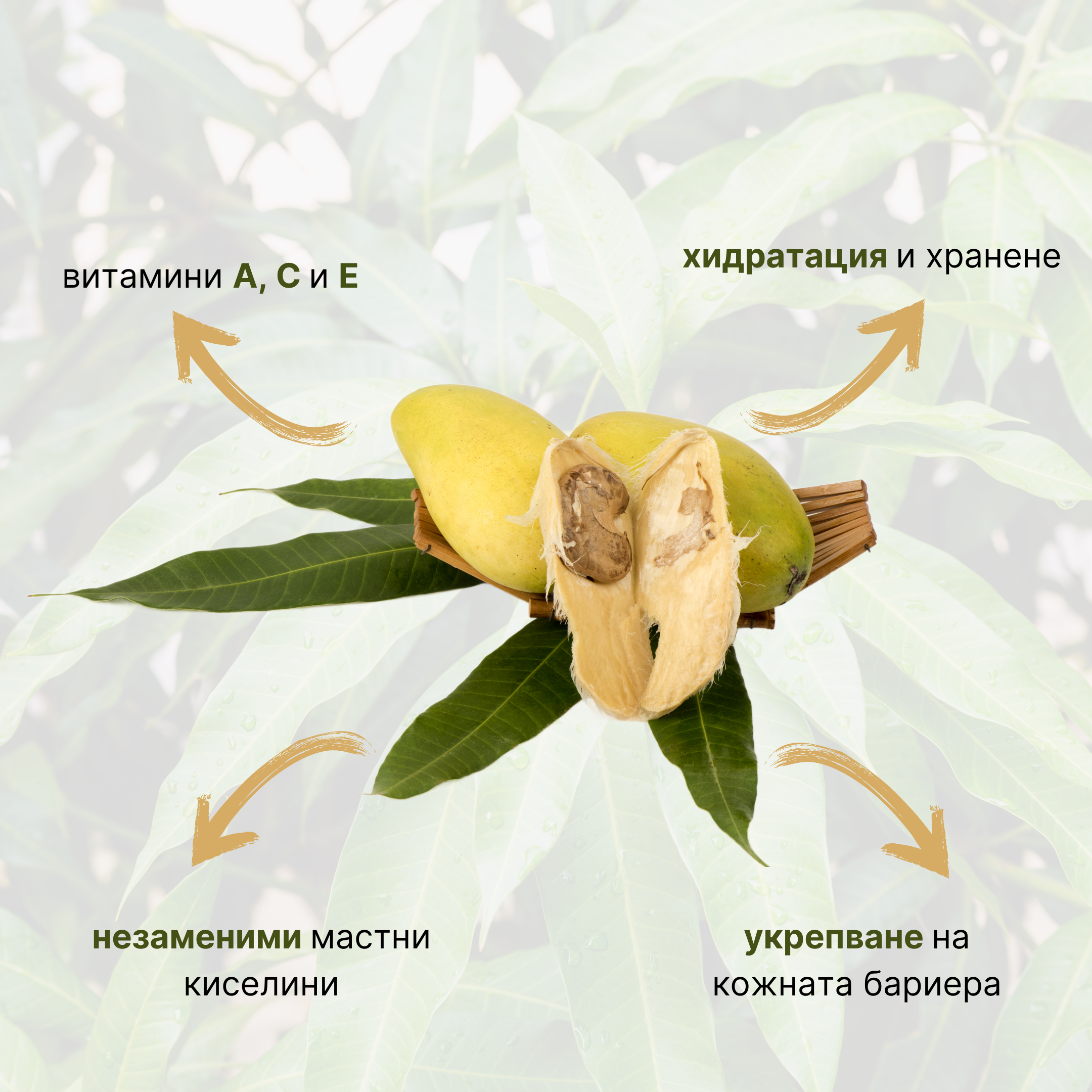 (Bulharština)